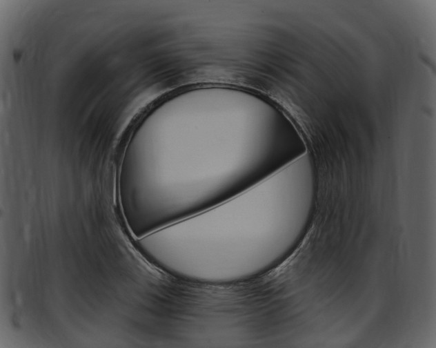X0000097651123200802290840