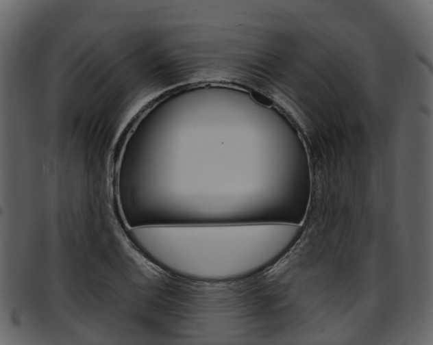X0000097651124200802290840