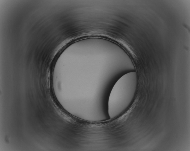 X0000097651126200802290840