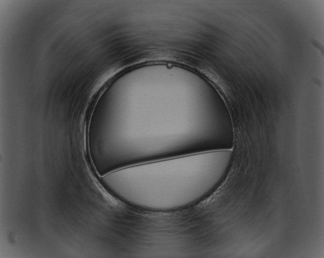 X0000097651127200802290840