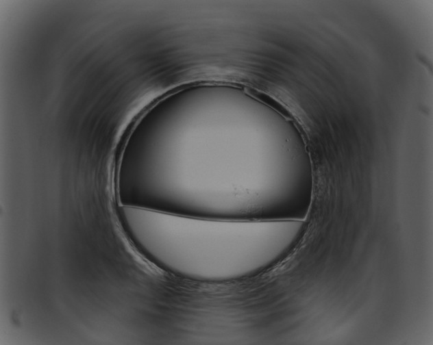 X0000097651128200802290840