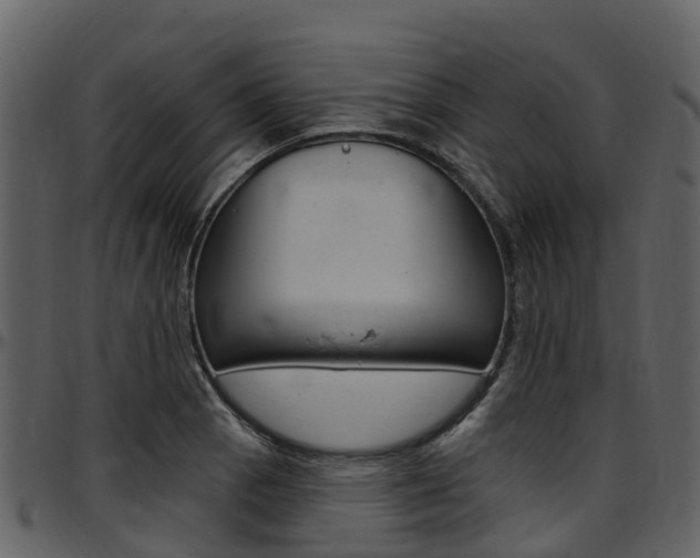 X0000097651129200802290840
