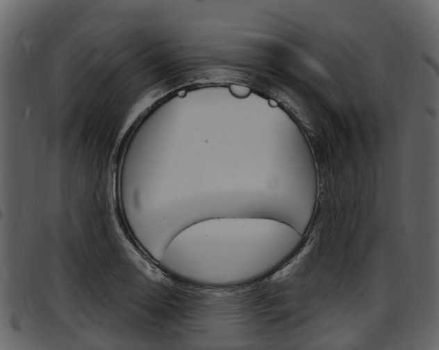 X0000097651130200802290840