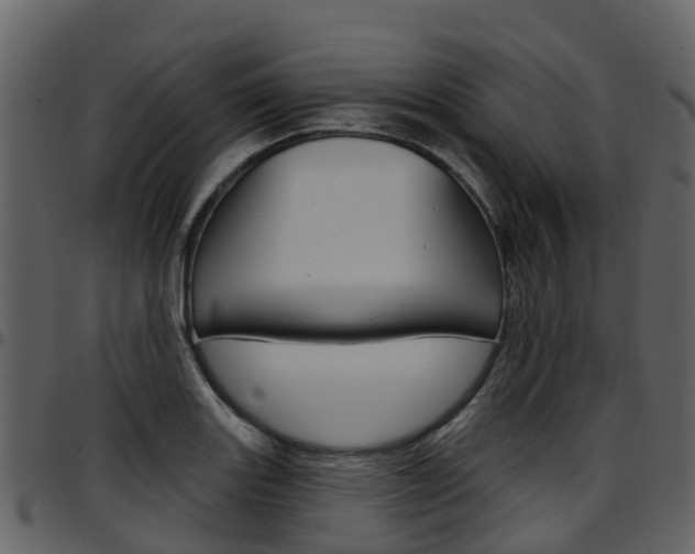 X0000097651131200802290840
