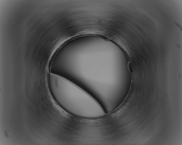 X0000097651132200802290840