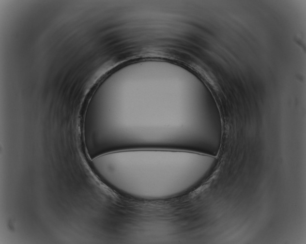 X0000097651133200802290840