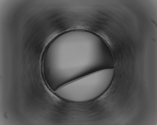 X0000097651135200802290840