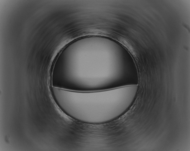 X0000097651136200802290840