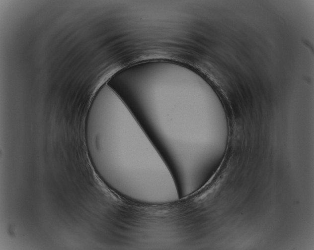 X0000097651137200802290840