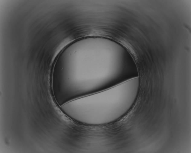 X0000097651138200802290840