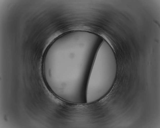 X0000097651139200802290840