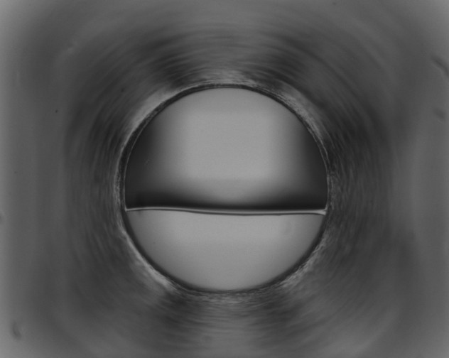 X0000097651141200802290840
