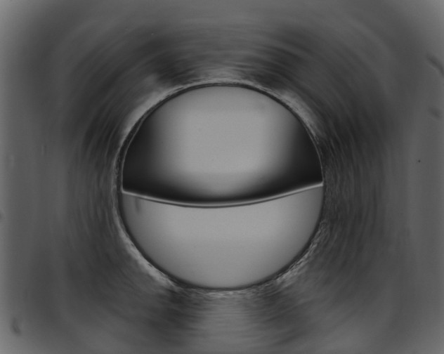 X0000097651142200802290840