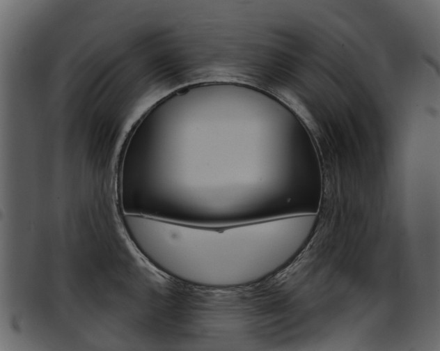 X0000097651144200802290840