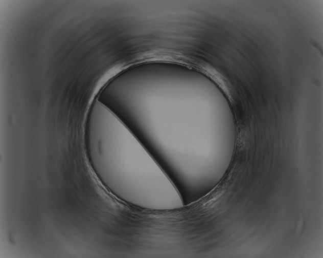X0000097651146200802290840