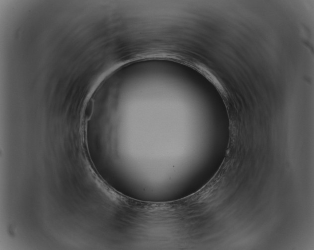 X0000097651148200802290840
