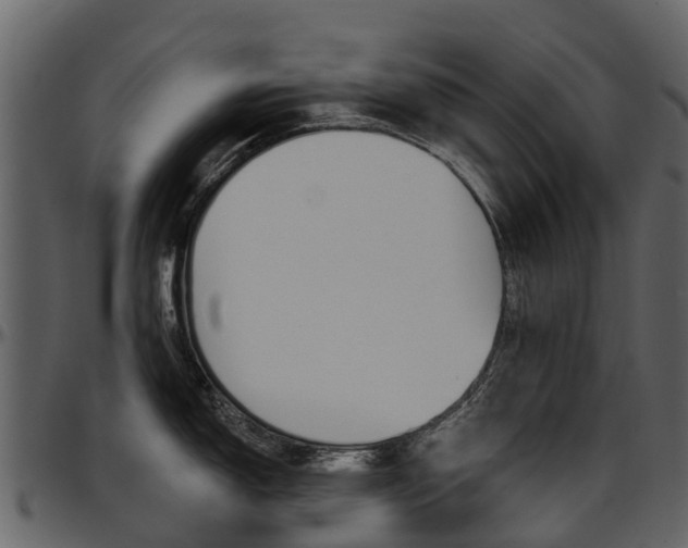 X0000097651150200802290840