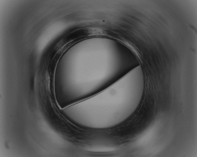 X0000097651151200802290840