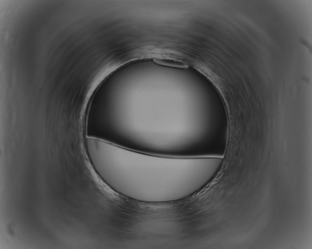 X0000097651152200802290840