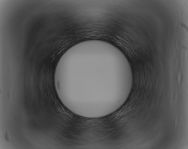 X0000097651154200802290839