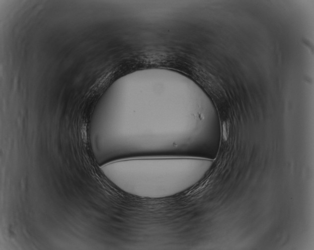 X0000097651155200802290839