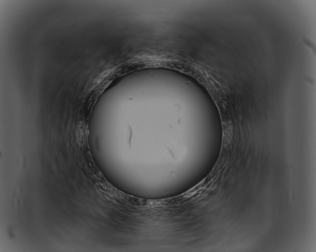X0000097651157200802290839