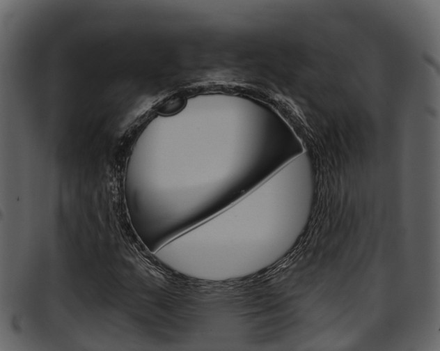 X0000097651159200802290839