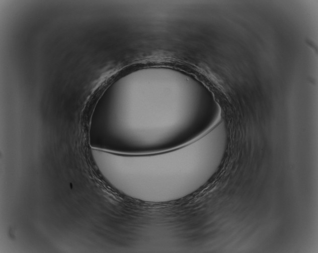 X0000097651160200802290839
