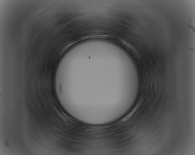 X0000097651161200802290839