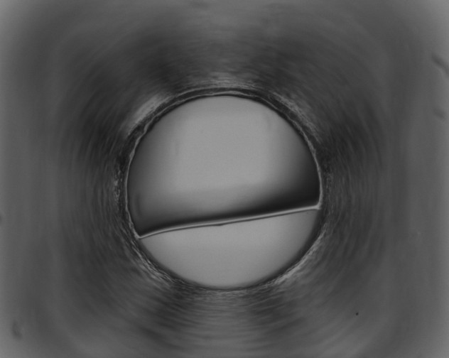X0000097651163200802290839