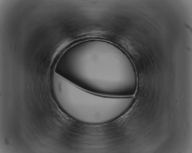X0000097651164200802290839
