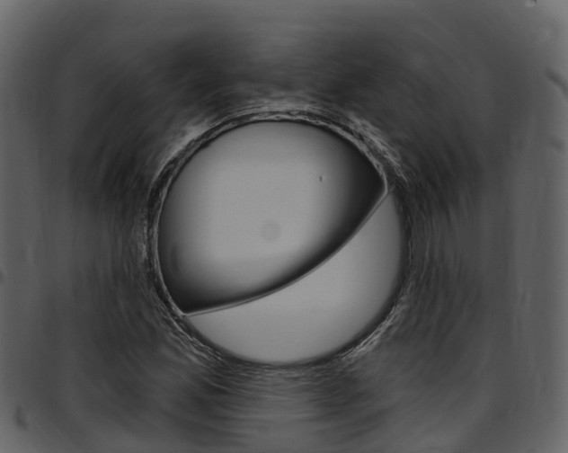 X0000097651165200802290839