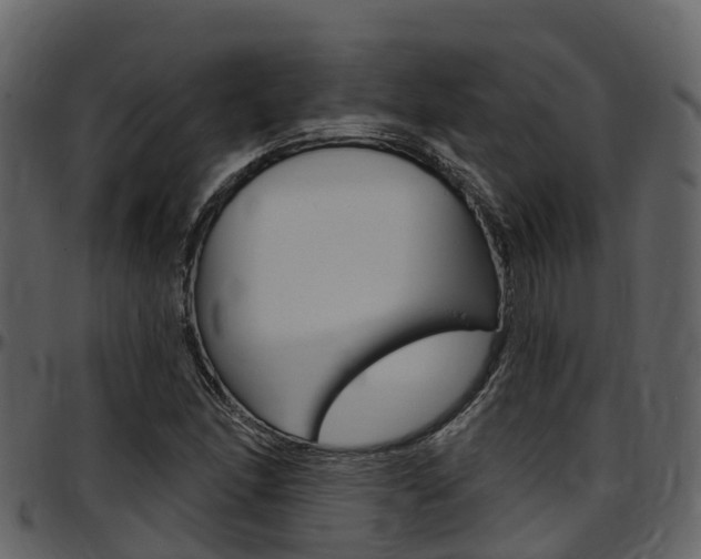 X0000097651166200802290839