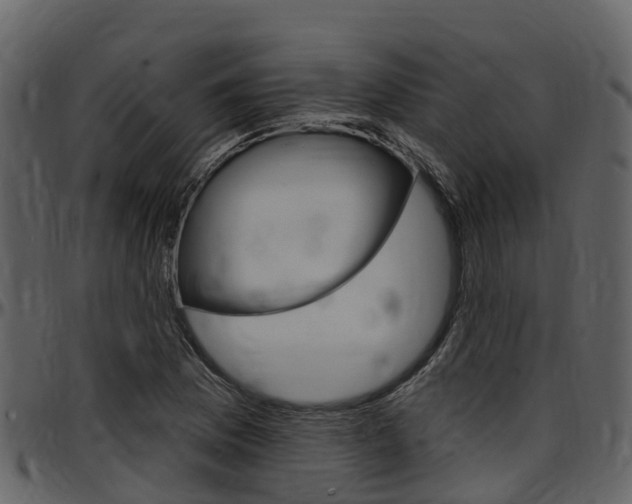 X0000097651169200802290839