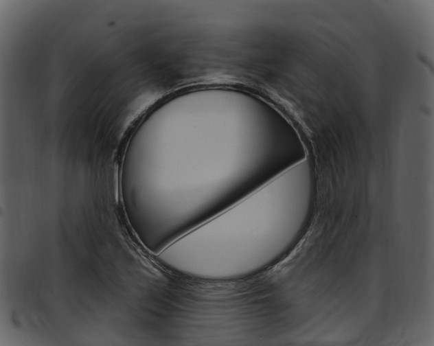X0000097651171200802290839