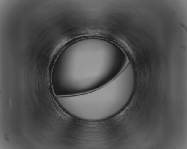 X0000097651172200802290839