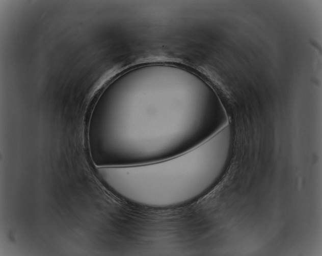 X0000097651173200802290839