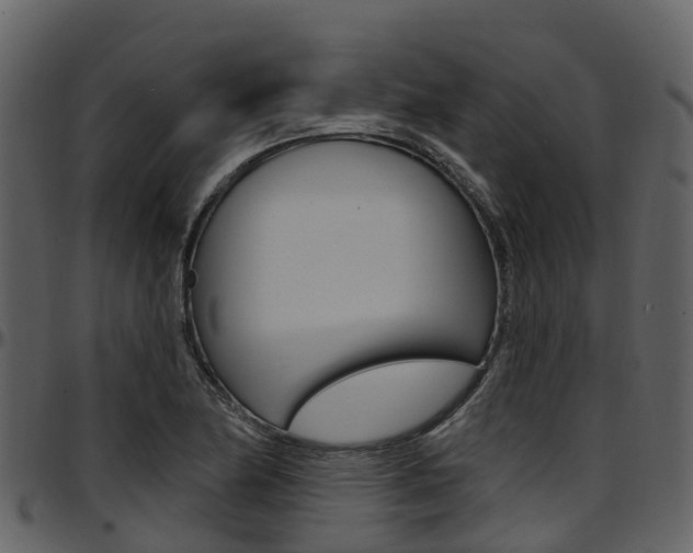 X0000097651174200802290839