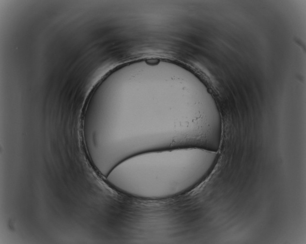 X0000097651182200802290839