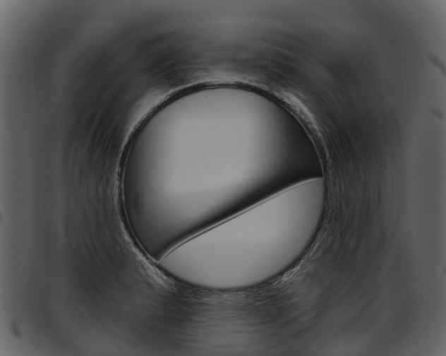 X0000097651183200802290839