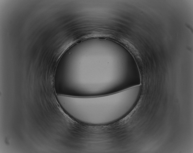 X0000097651185200802290839