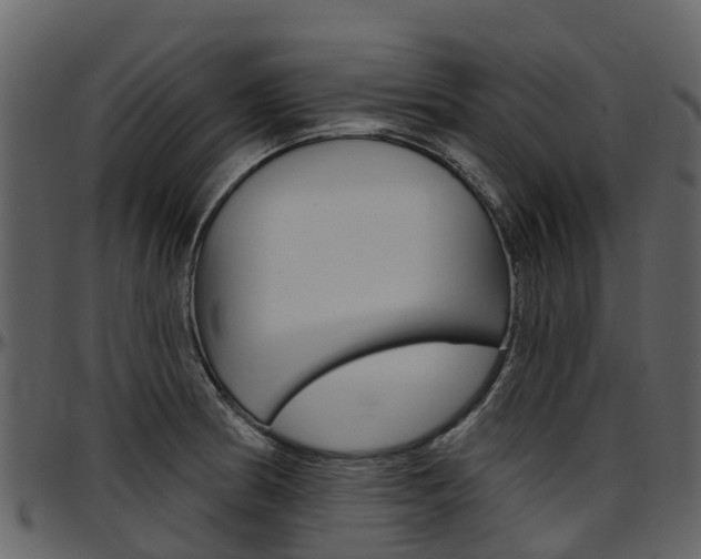 X0000097651186200802290839