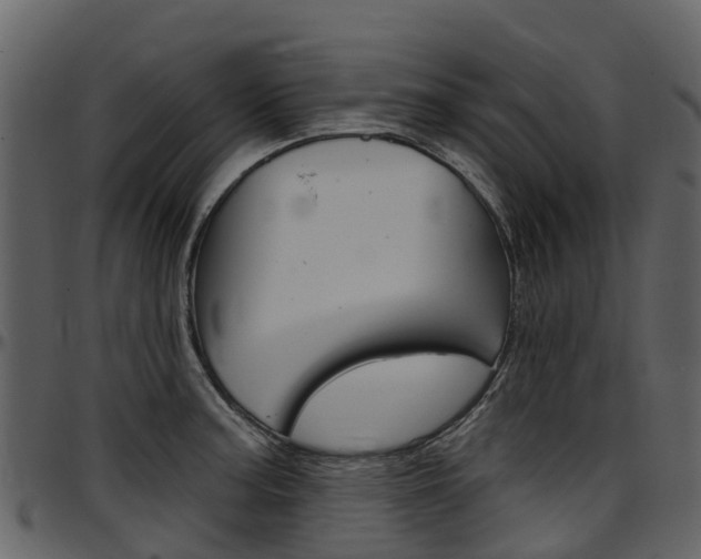X0000097651187200802290839