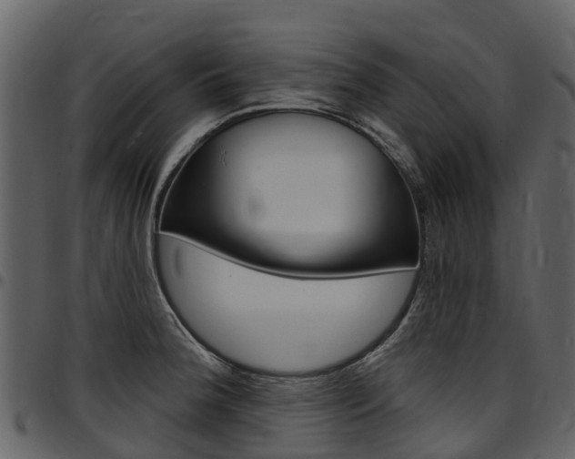 X0000097651188200802290839