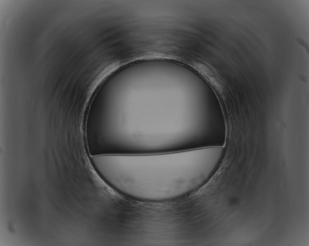 X0000097651189200802290839