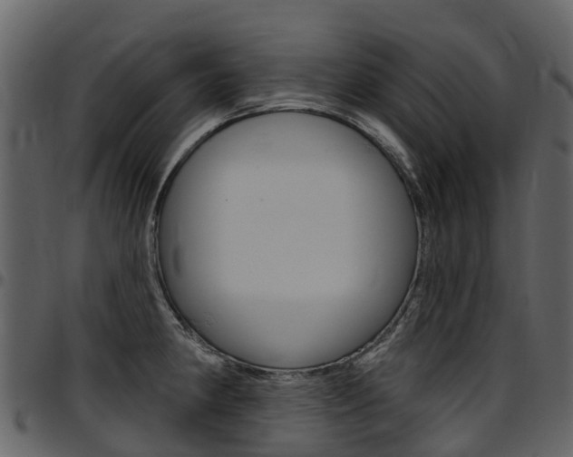 X0000097651190200802290839