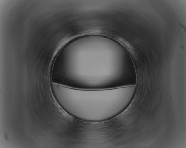 X0000097651192200802290839