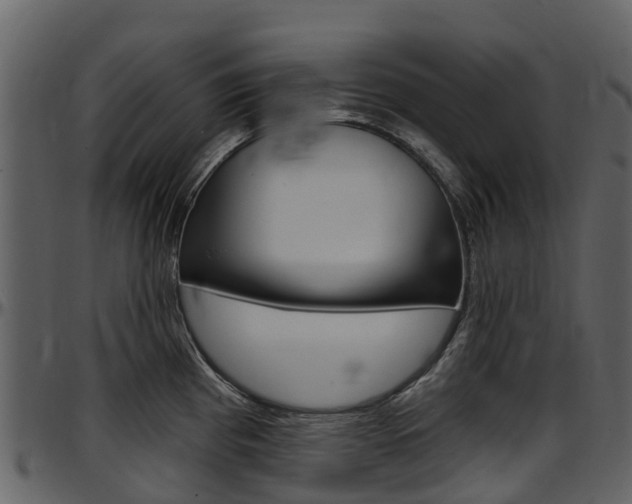 X0000097651193200802290839