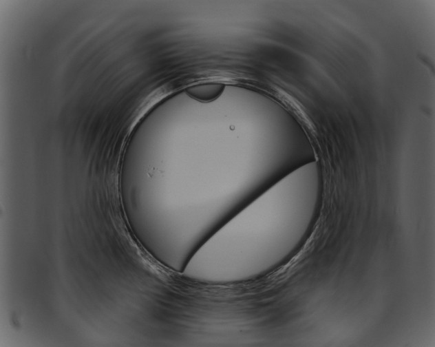 X0000097651194200802290839