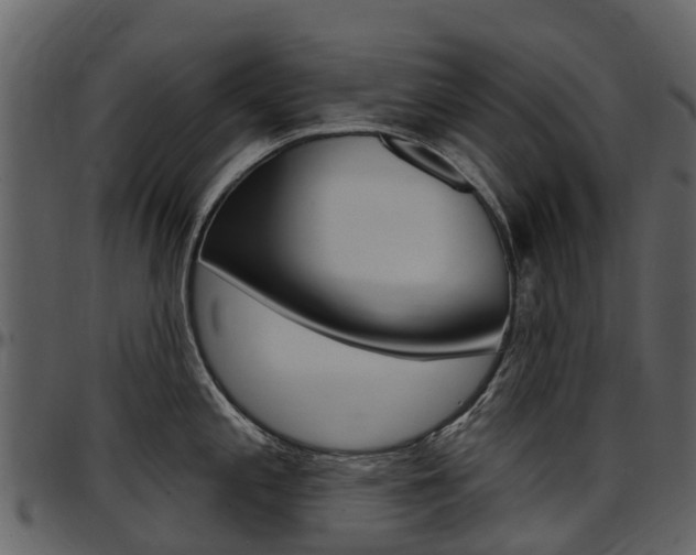 X0000097651197200802290839